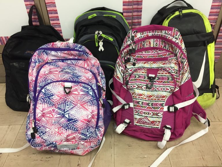 Virtual Backpack Joseph Greenberg School